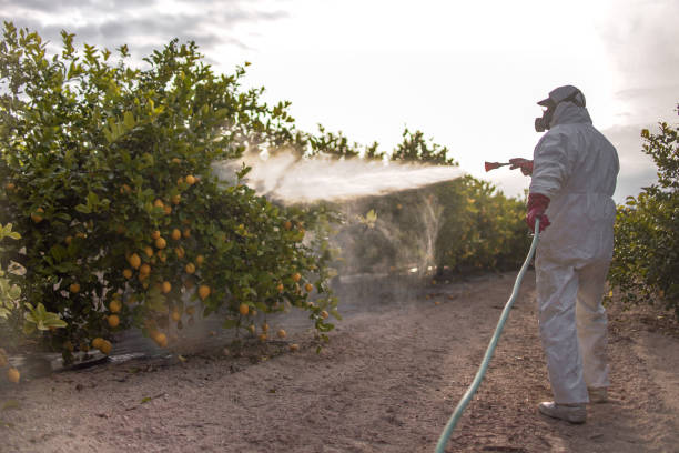 Wildlife Control Services in Concordia, KS